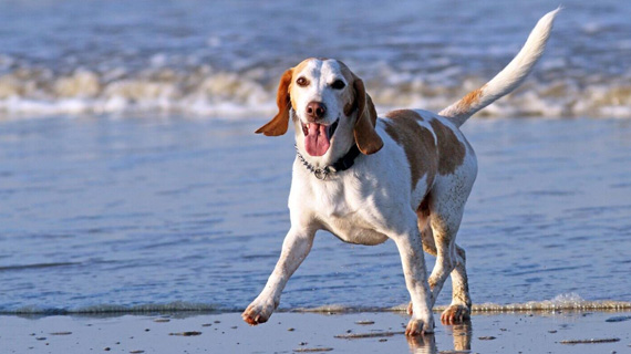 Holidays for everyone in 2025